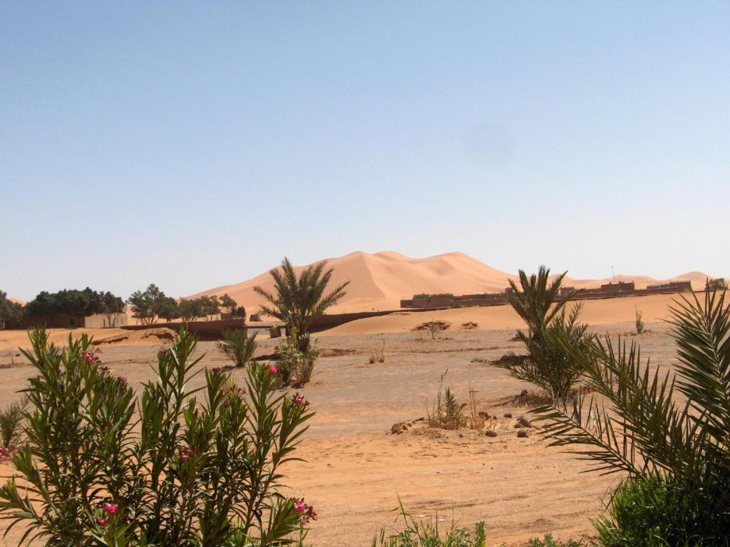 Auberge Africa Merzouga Eksteriør billede