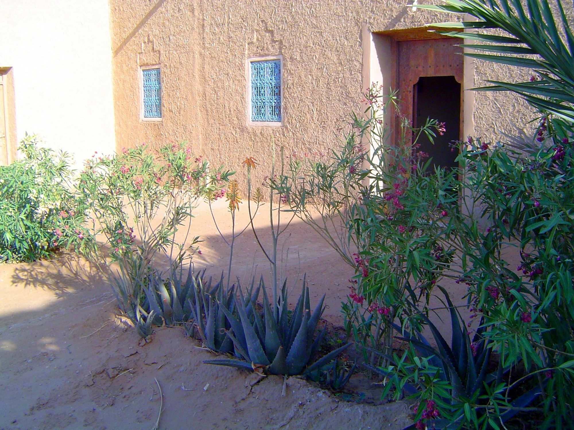 Auberge Africa Merzouga Eksteriør billede